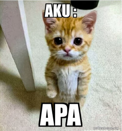 Cute Cat Standing