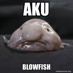 Blobfish