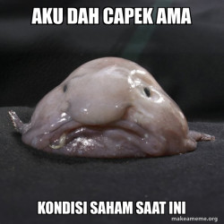 Blobfish