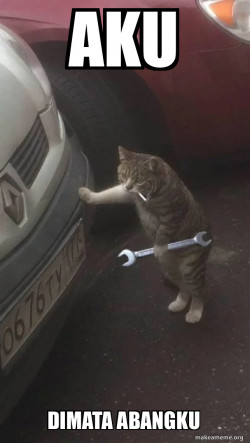 Mechanic Cat
