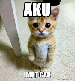 Oyen