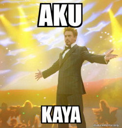 Tony Stark Success