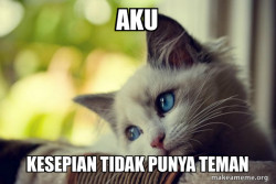 First World Cat Problems