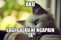First World Cat Problems