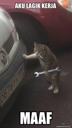 Mechanic Cat