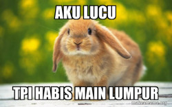 Regretful Rabbit