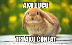 Regretful Rabbit