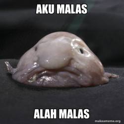 Blobfish