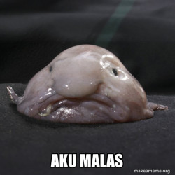 Blobfish
