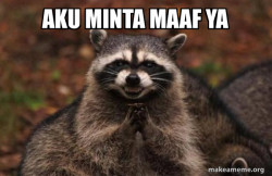 Evil Plotting Raccoon