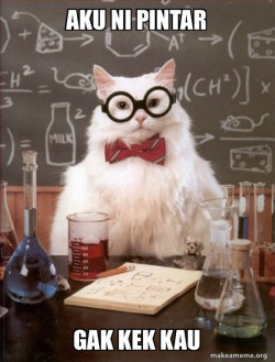 Chemistry Cat
