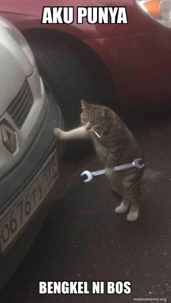 Mechanic Cat