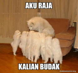 Storytelling Dog