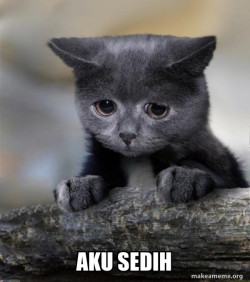 Confession Cat