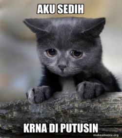 Confession Cat