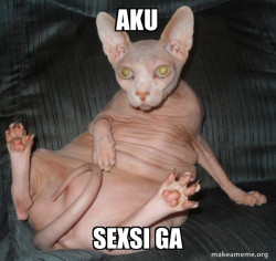 Hairless Cat
