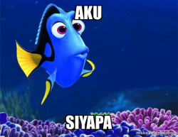Dory from Nemo  (5 second memory)