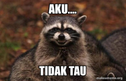 Evil Plotting Raccoon