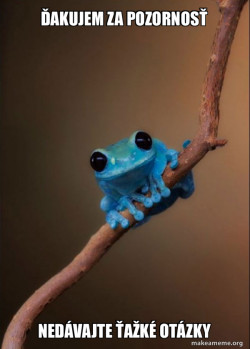 Small Fact Frog