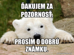 Popular Opinion Bear