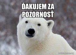 Popular Opinion Polar Bear
