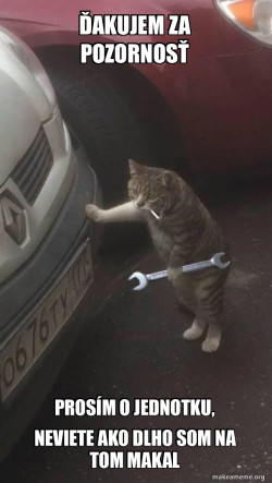 Mechanic Cat