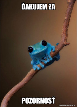 Small Fact Frog