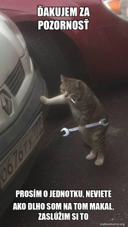 Mechanic Cat