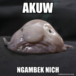 Blobfish
