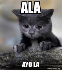 Confession Cat