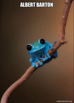 Small Fact Frog