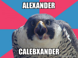 Millennial Falcon