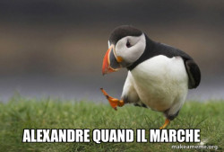 Unpopular Opinion Puffin