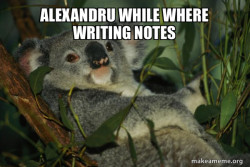 Laid Back Koala