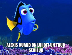 Dory from Nemo  (5 second memory)