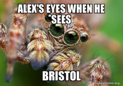 Hipster Spider