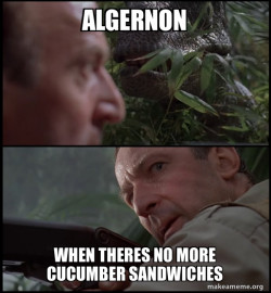 Clever Girl