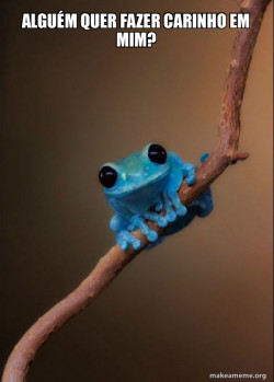 Small Fact Frog