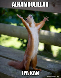 Happy Squirrel