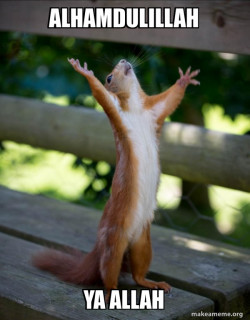 Happy Squirrel