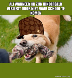 Scumbag dog
