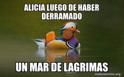 Fashionable Advice Mallard