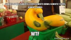 Gourd Advice Mallard