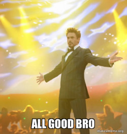 Tony Stark Success