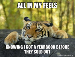 Confession Tiger