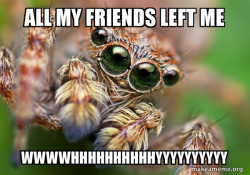 Hipster Spider