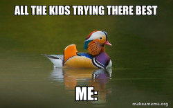 Fashionable Advice Mallard