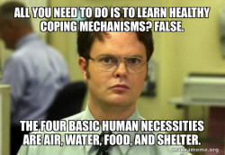 Schrute Facts (Dwight Schrute from The Office)