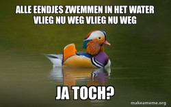 Fashionable Advice Mallard