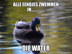 Zen Advice Mallard